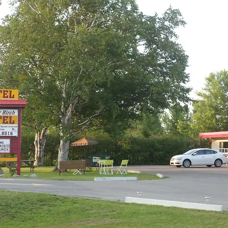 The Silver Birch Motel-2
