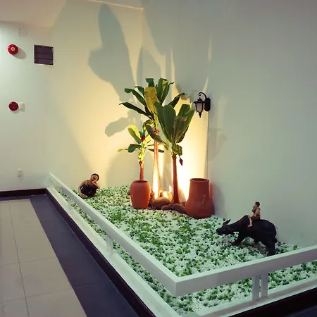 Amanda Hotel-2