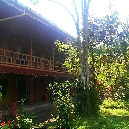 Miss Junies Lodge-3