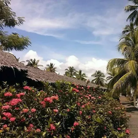 Whispering Palms Island Resort-3