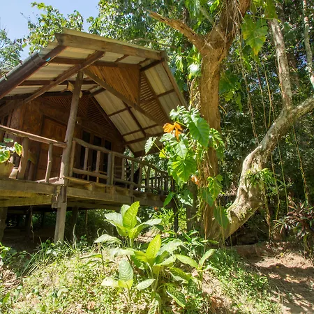Khao Sok Riverside Cottage-2
