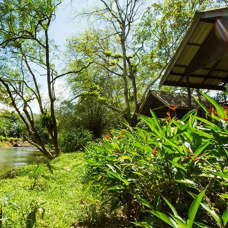 Khao Sok Riverside Cottage-2