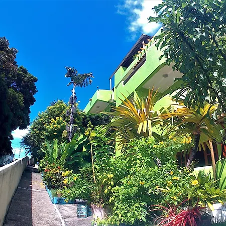 Bamboo Flat-2