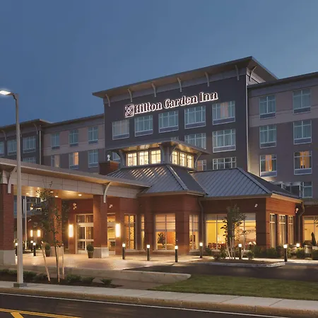 Hilton Garden Inn Boston Logan Airport-3