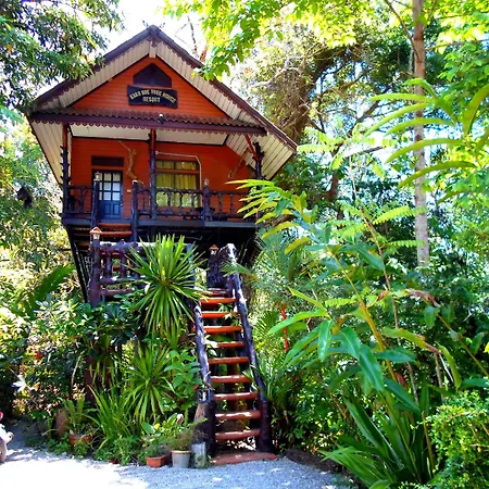 Khao Sok Tree House Resort-2