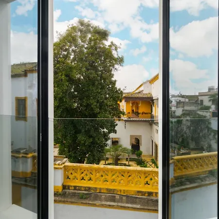 Luxury Apartment Overlooking Casa Pilatos-3