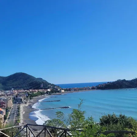 Il Tulipanonero-2