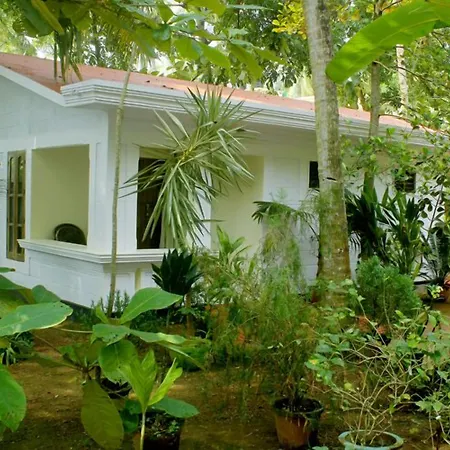 Jickys Nest-3