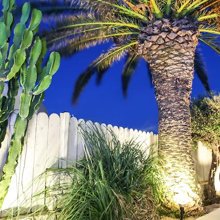 Anamar Blu (Adults Only)-2