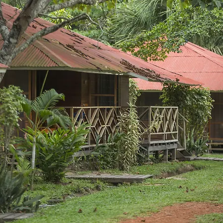 Manish Hotel Ecologico-2