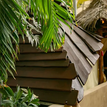 Tropical Islands-3