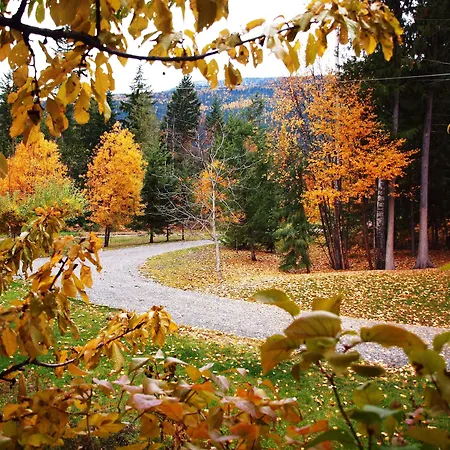Wing Creek Resort-3
