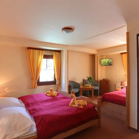 Hotel Zeleny Dum-3