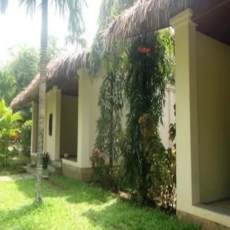 Golden Sunrise Hotel-2