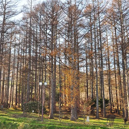 Highland Furano-3