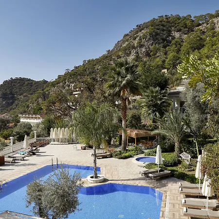 Morina Deluxe Hotel-3