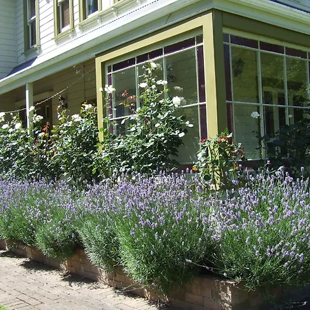 Tairoa Lodge & Cottage-2