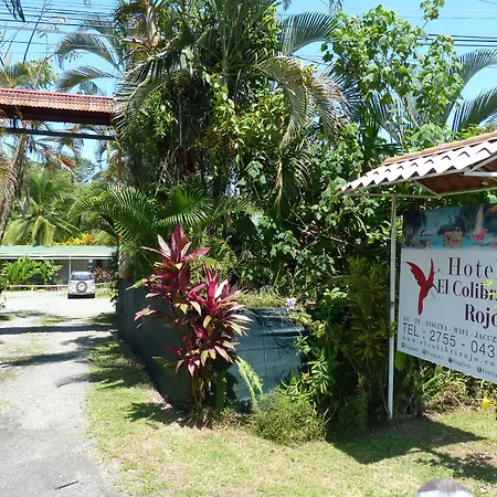 Hotel El Colibri Rojo - Le Colibri Rouge-3