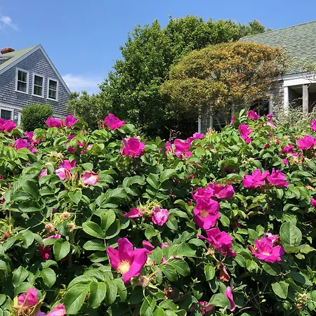 Sea Breeze Inn-3
