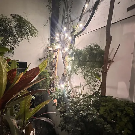 La Casa Del Viajero-2