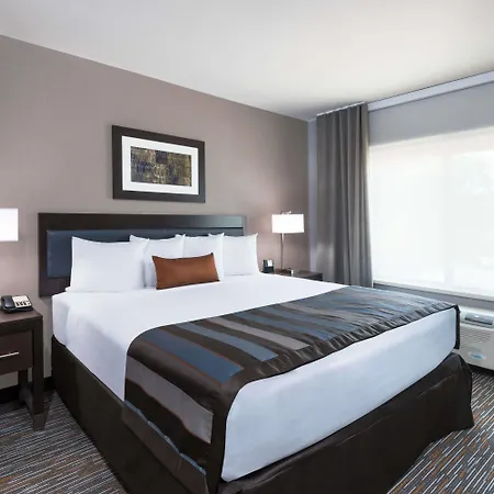 Wingate By Wyndham Sidney-3