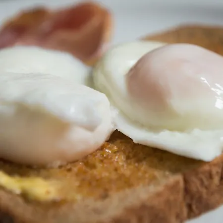 Ammonite Lodge-3