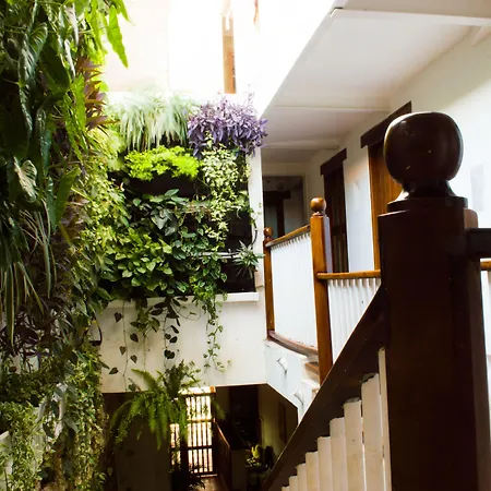 Casa Ebano 967-3