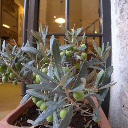 Bed And Breakfast A Casa Delle Fate-2