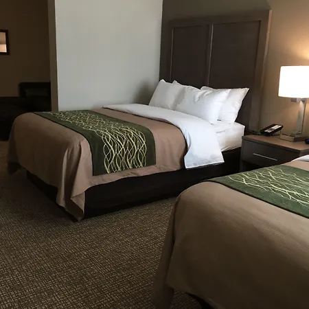 Comfort Inn & Suites Snyder-2