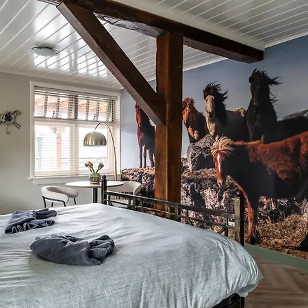 Bed&Breakfast de Hoge Enk-2