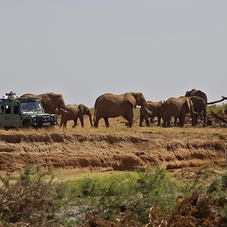 Ashnil Samburu Camp-3