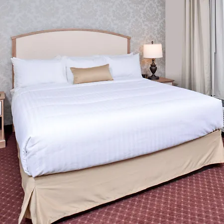 Appomattox Inn And Suites-3