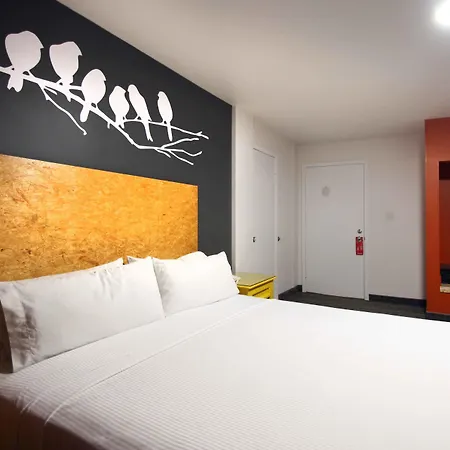 B My Hotel-3