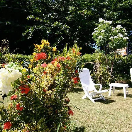 Rising Sun Guesthouse-3