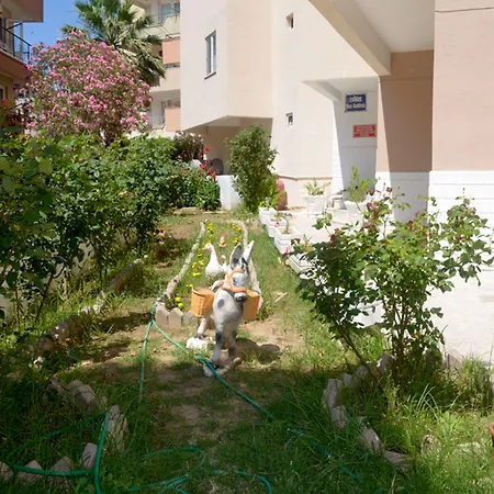 Ahmeda Apart Hotel-3