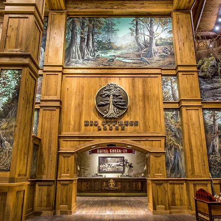 Big Cypress Lodge-3
