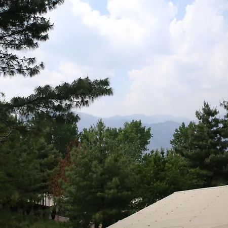 Chinar Family Resort-3