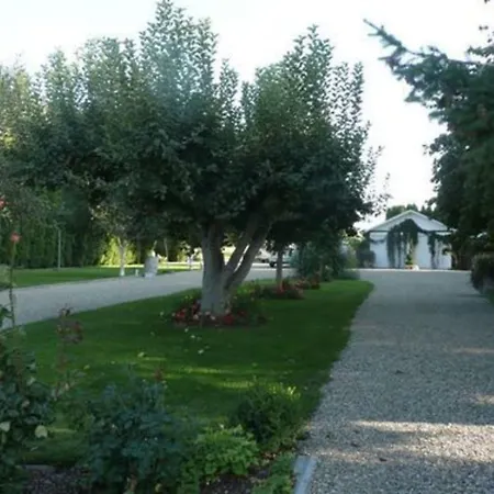 Cozy Rose Inn-3
