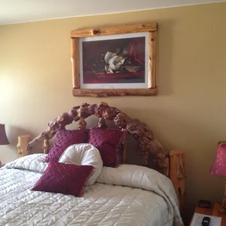 Buffalo Bill'S Antlers Inn-3