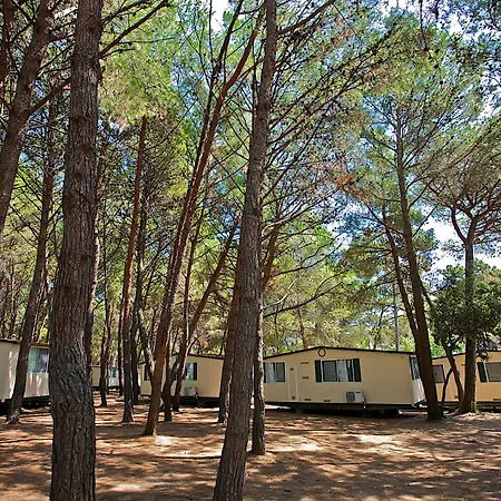 Arena Medulin Mobile Homes-3