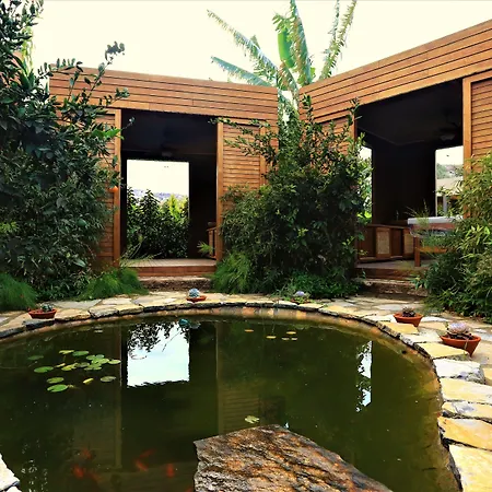 The Lifeco Bodrum Well-Being Detox Center And Vegan Hotel (Adults Only)-3