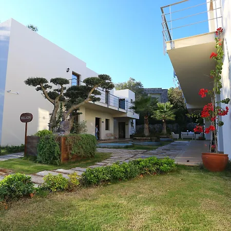 The Lifeco Bodrum Well-Being Detox Center And Vegan Hotel (Adults Only)-2