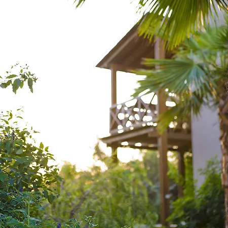 The Lifeco Bodrum Well-Being Detox Center And Vegan Hotel (Adults Only)-3