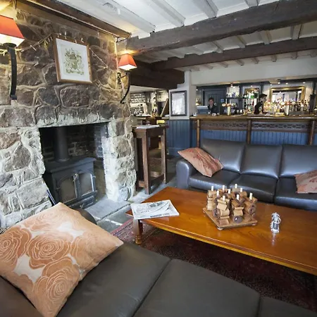The White Swan-2