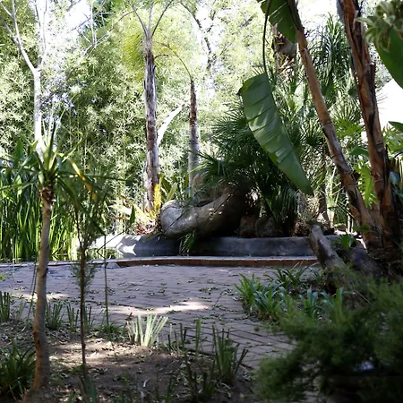 Summerview Guest Lodge-2