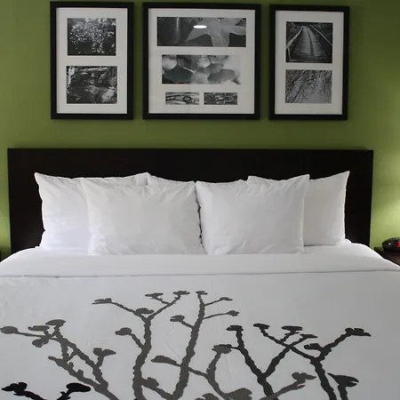 Sleep Inn Ellenboro Hwy 50-2