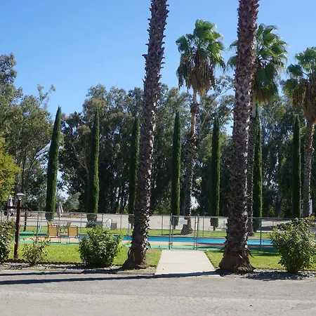 Blue Gum Motel-3