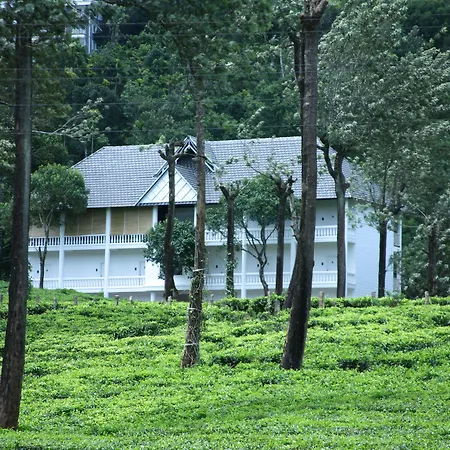 Tea Harvester-3