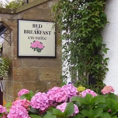 Thorpe Green House Vegetarian Bed & Breakfast-3