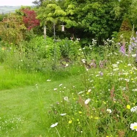 Thorpe Green House Vegetarian Bed & Breakfast-2